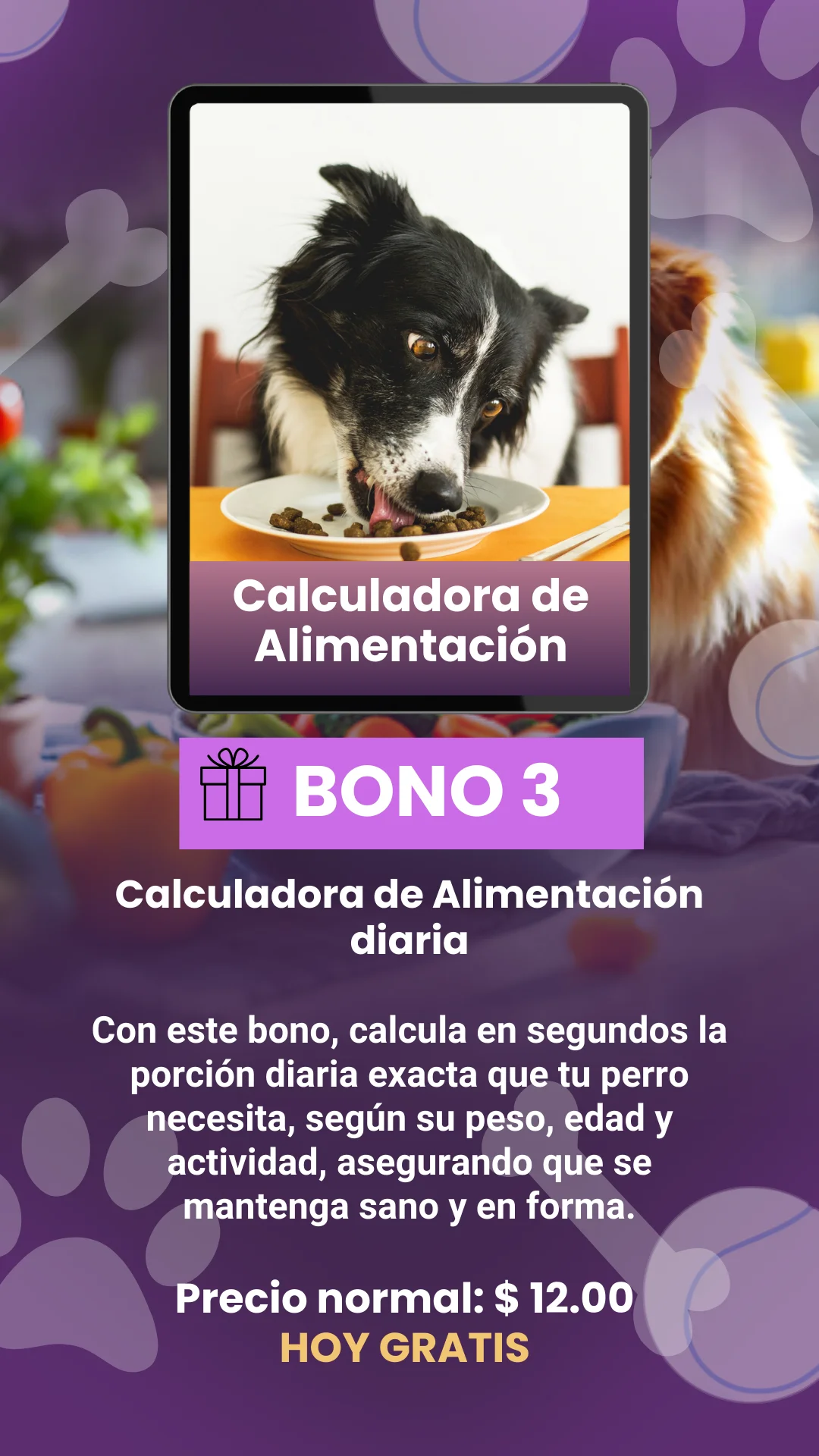 BONOS (2)